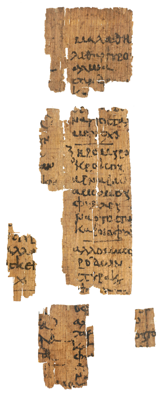 A Late-antique medical papyrus, excavated in Hermoupolis Magna, Middle Egypt, and currently housed in the Egyptian Museum of Berlin. Dated at the 6th century, it contains on five fragments a list of herbs and minerals for the preparation of medical recipes. 